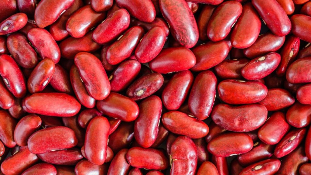 are-kidney-beans-good-for-ckd-expert-answer