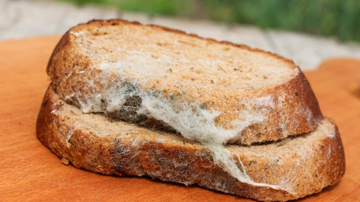 what-happens-if-you-eat-old-bread-expert-answer