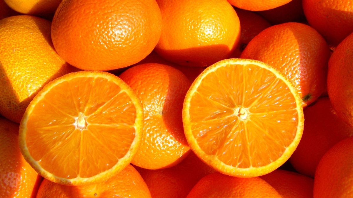 is-orange-good-for-weight-loss-expert-answer